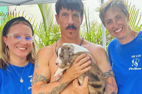 Anthony And Flea From The Chili Peppers Hung Out With Rescue Animals Backstage At The Tampa Show
