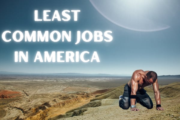 Least Common Jobs in America