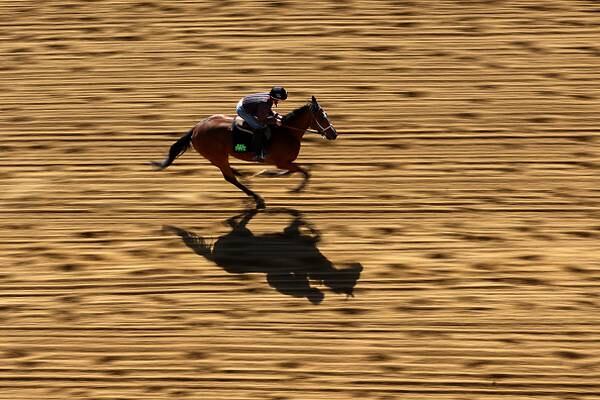 Preakness 2022: When, what time is the race? Will there be a Triple Crown winner?