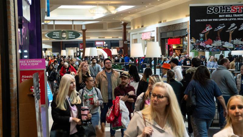 Shoppers spent a record $9.8 billion online during Black Friday.