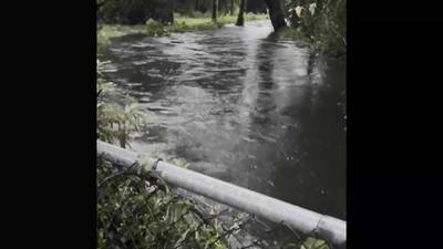 The flooding around my house from Hurricane Debby