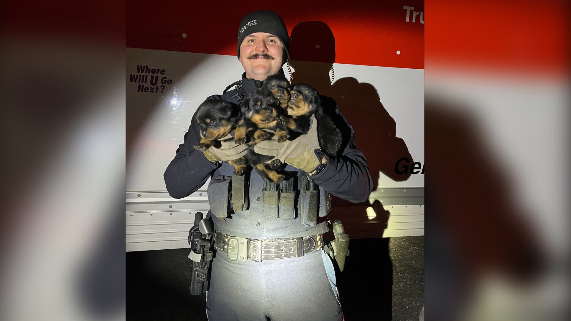 15 dogs and puppies were found in an abandoned U-Haul in Klamath Falls, Oregon. Police say another 10 were recovered after they were found with the suspects.