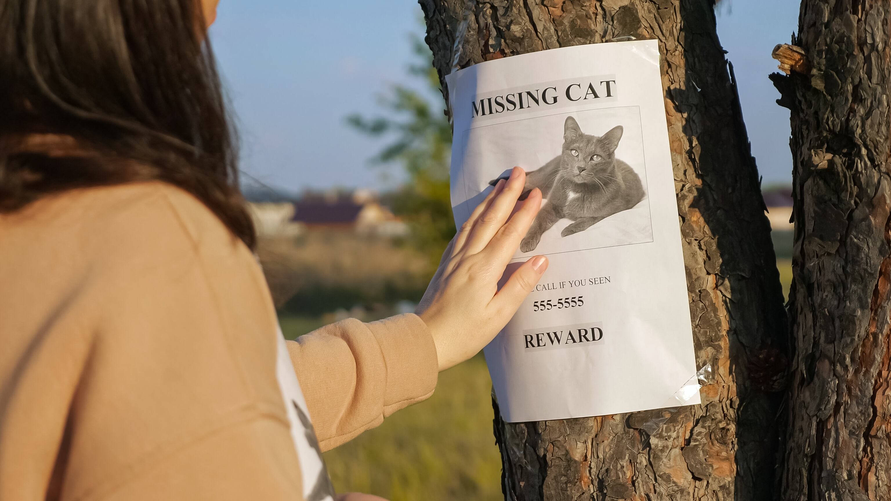 Brunette lady owner in beige hoodie hangs poster of missing cat and strokes photo on tree trunk in city park on sunny autumn day, close view