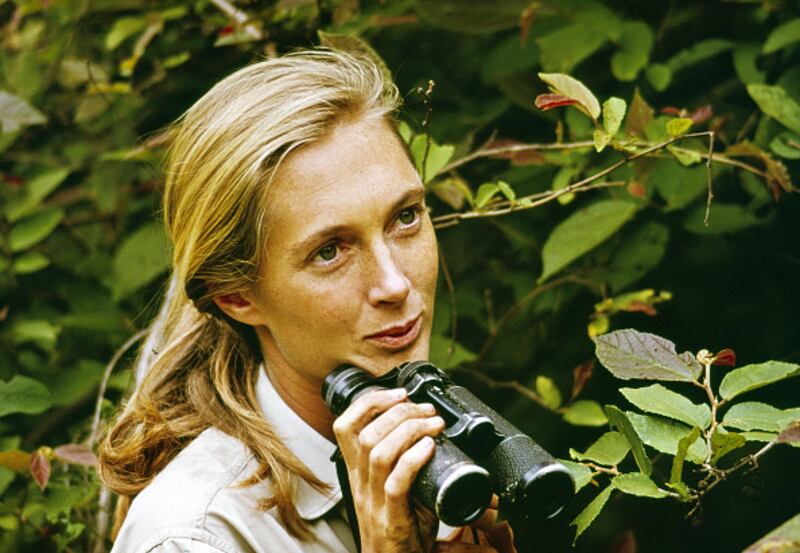 Dr. Jane Goodall