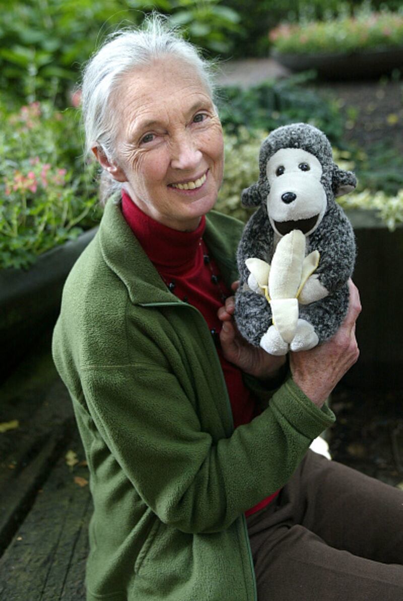 Dr. Jane Goodall